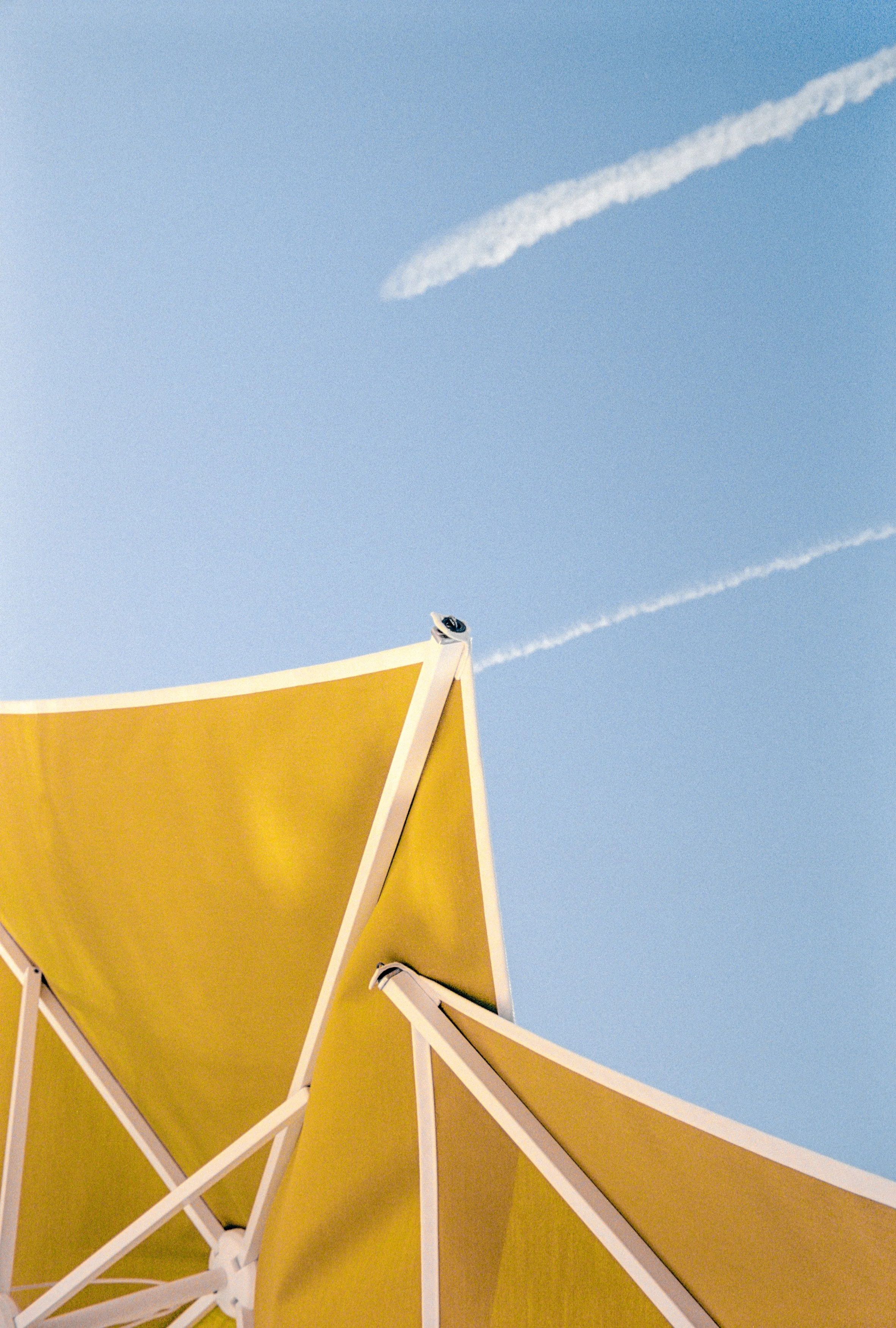 Things, analog photograph 03